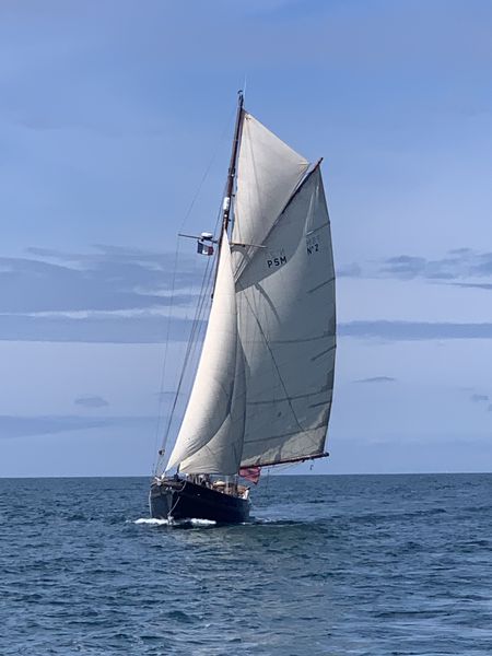 Vieux gréement PSM N°2 sous voile en mer